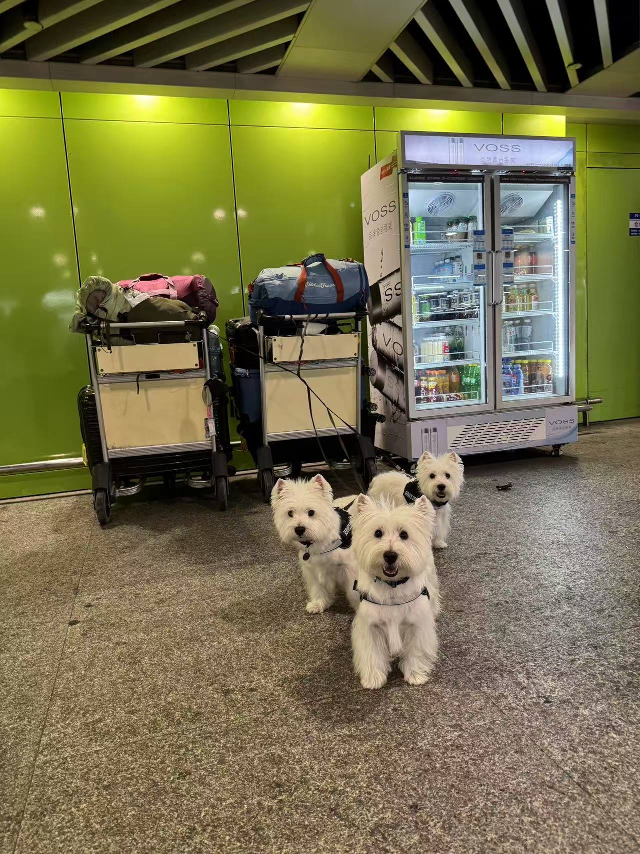 Heading to the USA