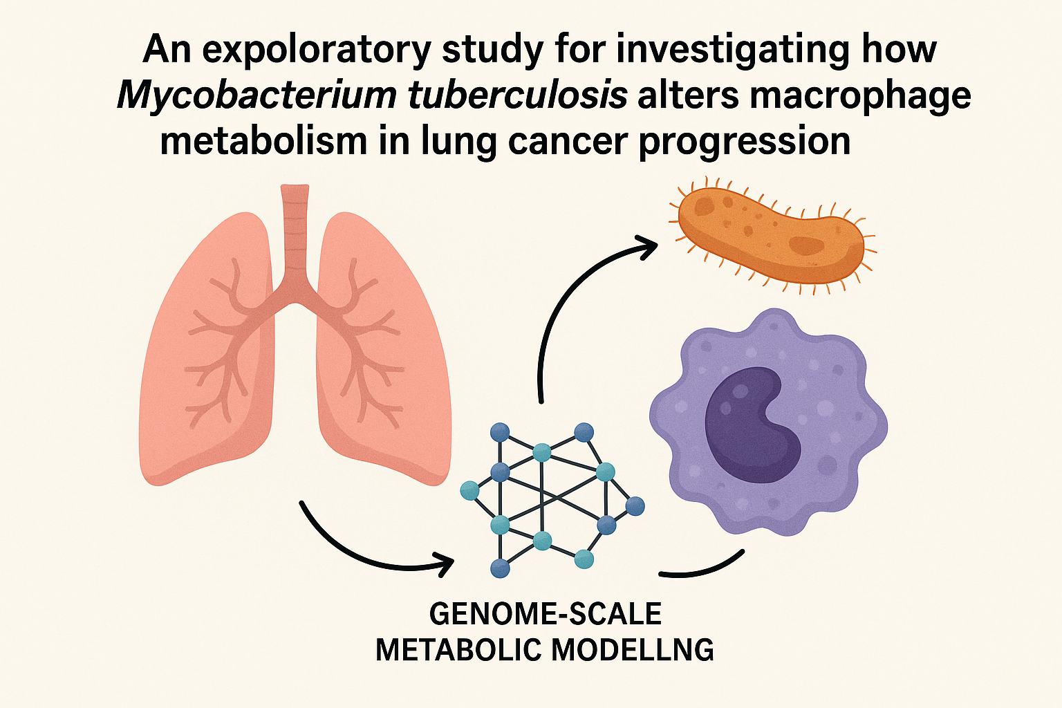 The Connection Between Mycobacterium Tuberculosis and Macrophage Cells in Lung Cancer Progression